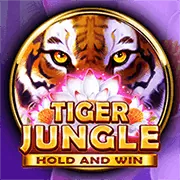 Hình ảnh sòng bạc trực tuyến 33win4 chính thức